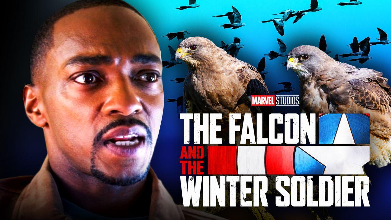 Anthony Mackie Birds Falcon and Winter Soldier