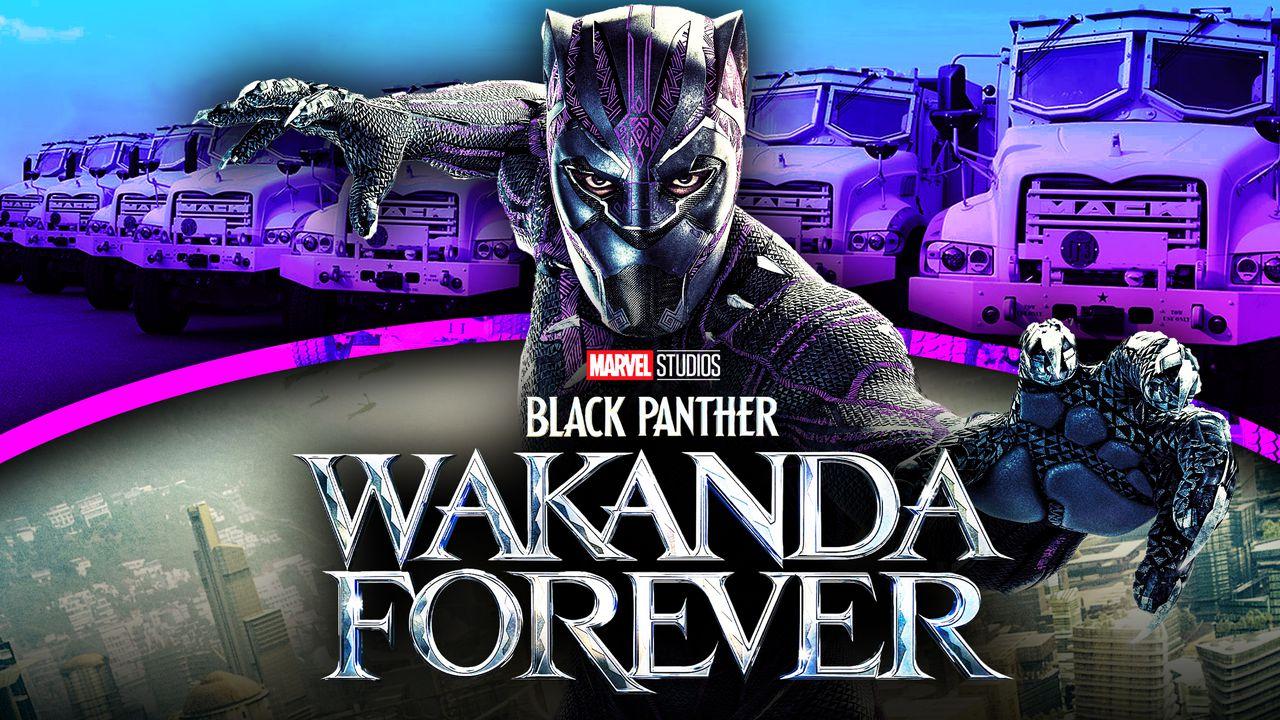 Black Panther: Wakanda Forever' trailer shows scenes filmed in Boston,  Cambridge