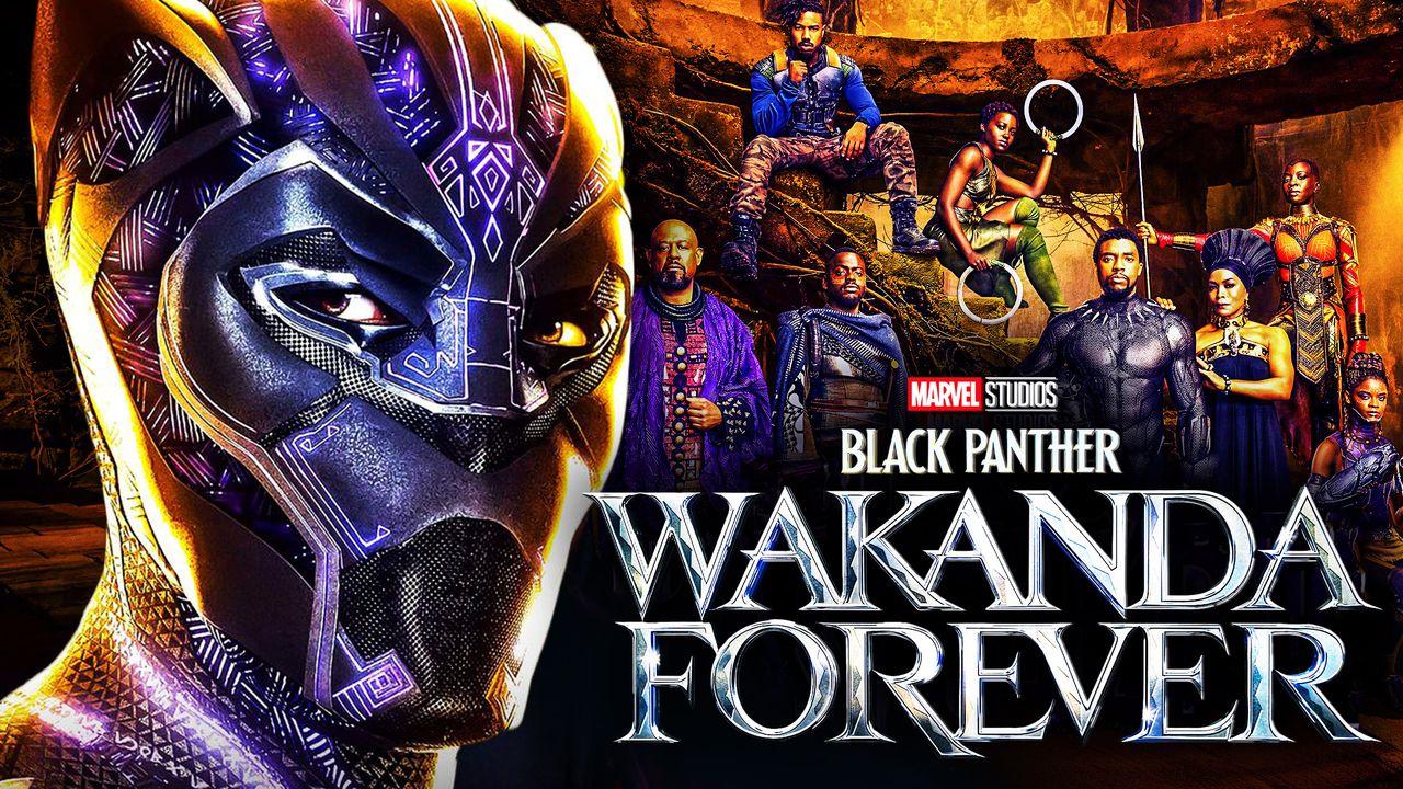 Black Panther 2 Movie Cast Who Will Replace Chadwick Boseman