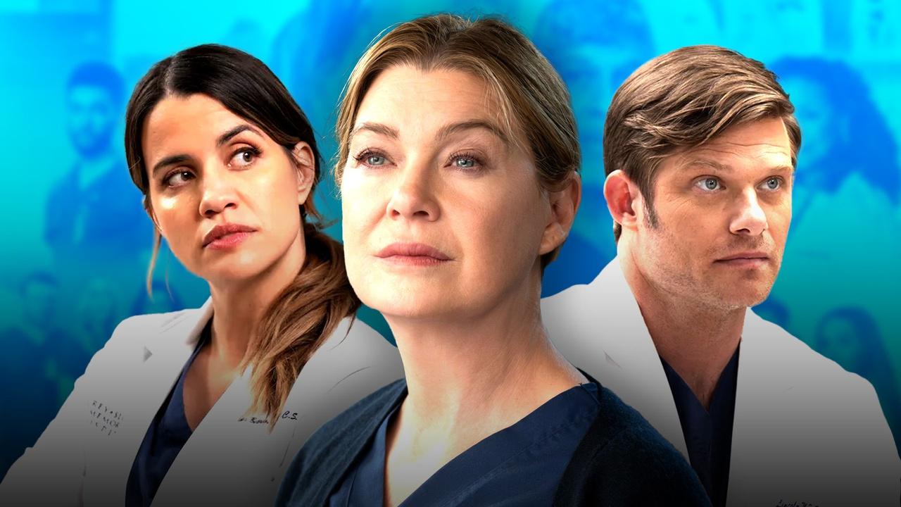 Meredith Grey, Dr. Link in Grey's Anatomy
