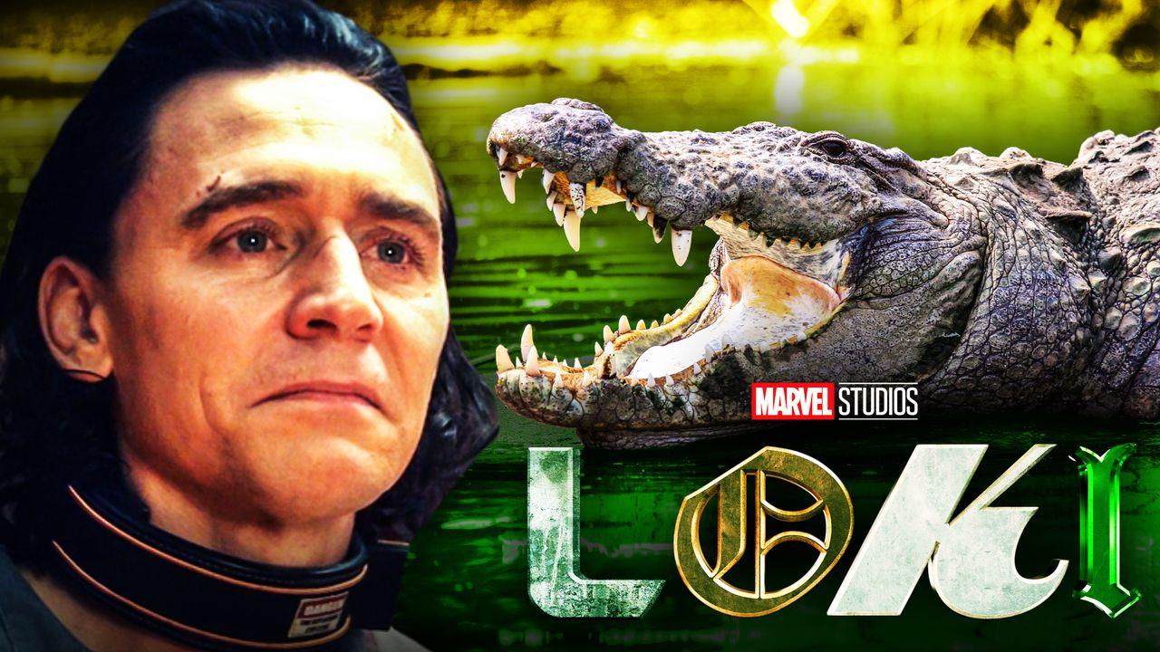 Loki Crocodile