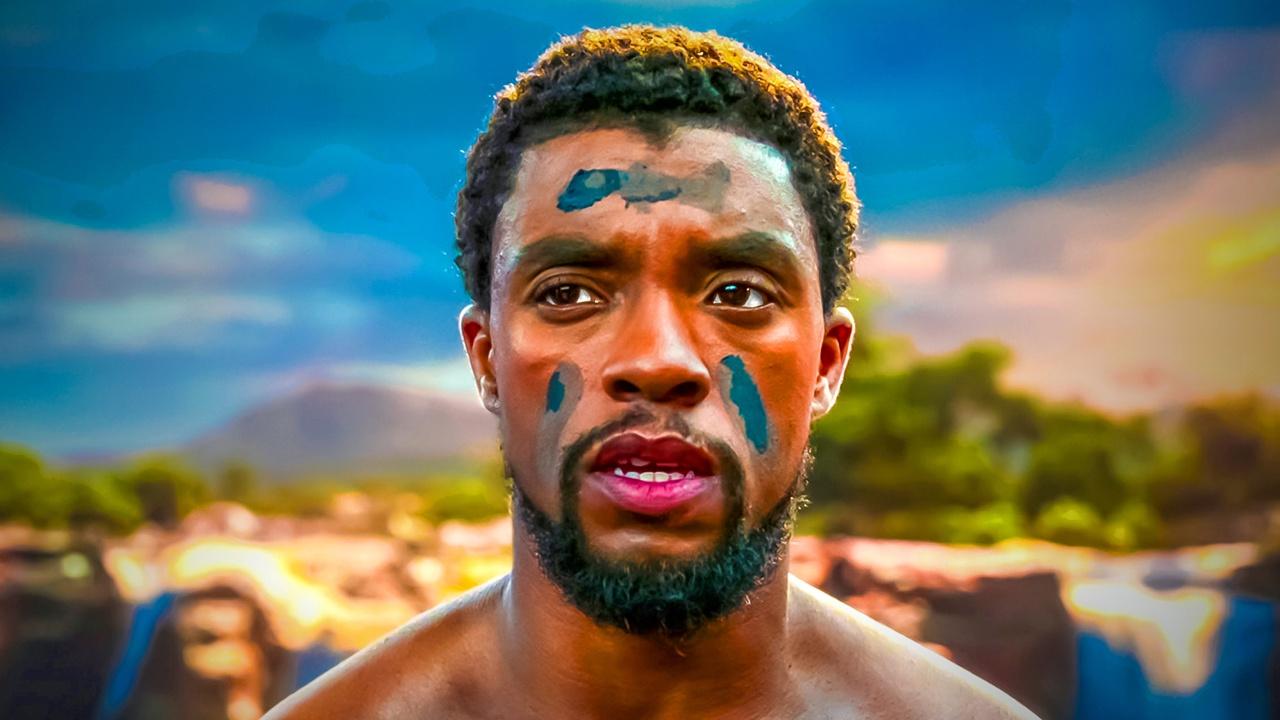 T'Challa in Black Panther movie
