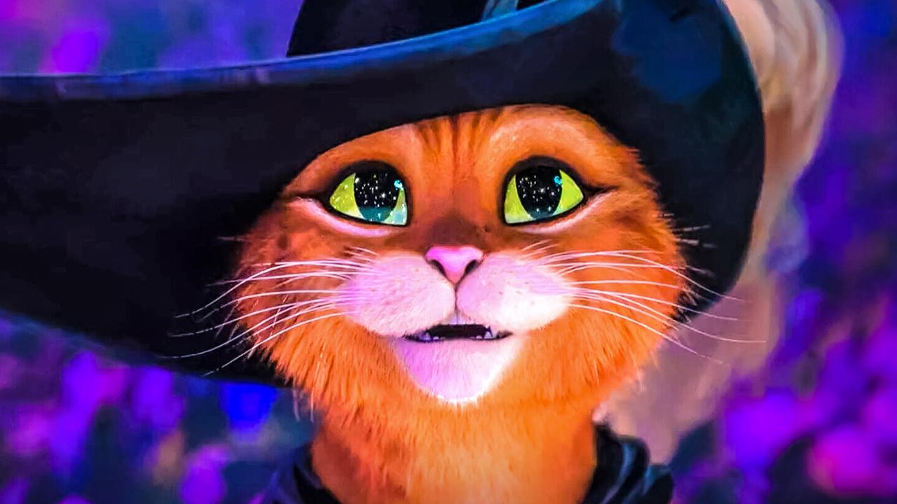 Puss in Boots in Puss In Boots: The Last Wish