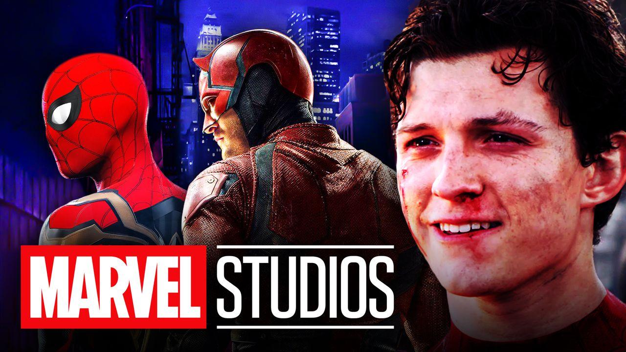 Tom Holland Teases Future Daredevil & Spider-Man Team-Up