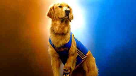 Air Bud in new 2027 movie.