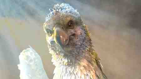 The Hippogriff at Universal Studios' Fan Fest Nights 2026.