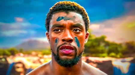T'Challa in Marvel Studios' Black Panther movie