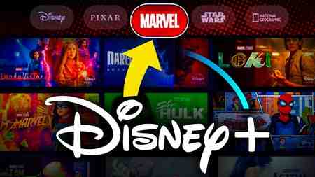 Disney Plus app visual, brand buttons on top