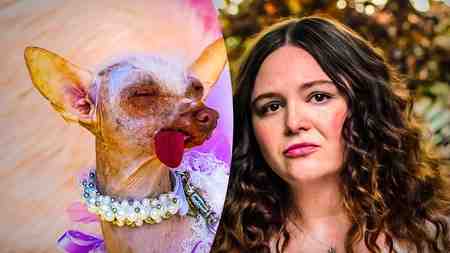 Dog from Netflix's Too Much