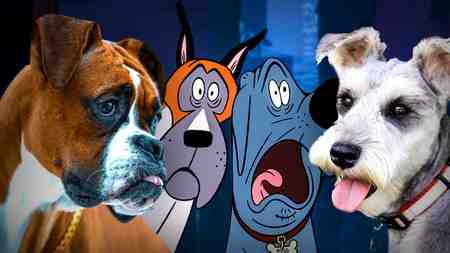 Fixed Netflix Dogs, Real Breeds
