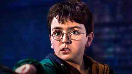 Harry Potter in Harry Potter HBO series