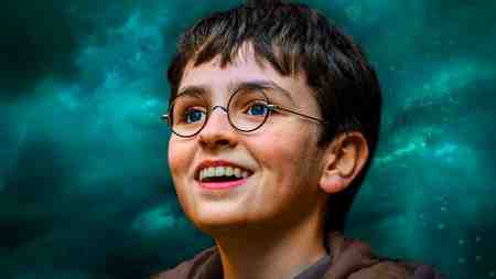 Dominic McLaughlin as Harry Potter