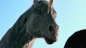 The Unicorns Turn White in 'Death of a Unicorn' Movie for a Meaningful Reason (Confirmed)