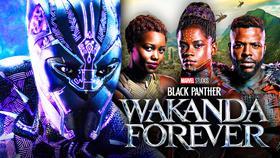 New LEGO Set Might've Revealed the MCU's Next Black Panther (Photos)