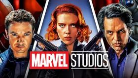 Avengers Star Reveals Their MCU Character Is Currently Retired
