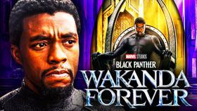 Black Panther 2: T'Challa's Death Gets Directly Addressed In New Scene