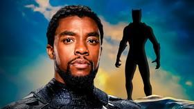 Marvel's Possible T'Challa Replacement Actor Speaks Out on Black Panther Recasting Reports