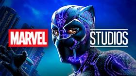 Black Panther Will Appear In Multiple Upcoming Marvel Movies (Full List)