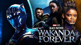 MCU Actors Cast Doubt on Shuri Becoming New Black Panther