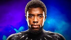 Disney+ Just Introduced a New Version of Black Panther's T'Challa