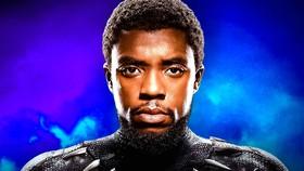 The MCU Just Introduced Its 6th New Black Panther On Disney+