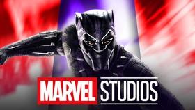 MCU’s New Black Panther Gets Exciting Casting Update