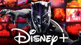 Black Panther Disney+ Series Season 2 Now In Trouble After Studio Bankruptcy