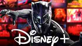 Black Panther Disney+ Series Season 2 Now In Trouble After Studio Bankruptcy