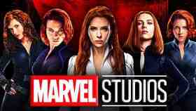 Black Widow Costumes Movies