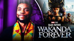 Never-Before-Seen Chadwick Boseman Clip Featured in Black Panther 2 (Photos)