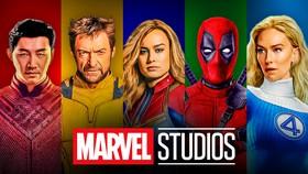Disney Announces the MCU's 14th New Movie Franchise