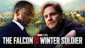 Falcon, Zemo, The Falcon in the Winter Soldier