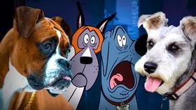 Every Dog Breed In 'Fixed' Netflix Movie (Pictures)