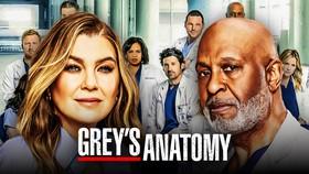 Grey’s Anatomy Announces Its 4th Spinoff Series (With A Historic Premise)