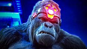 James Gunn's Gorilla Grodd Will Reportedly Debut In This HBO Max Show