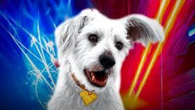 James Gunn Reveals Krypto's 4 Secret Superpowers