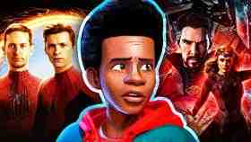 Spider-Man Miles Morales multiverse