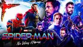 Spider-Man: No Way Home Avengers: Endgame