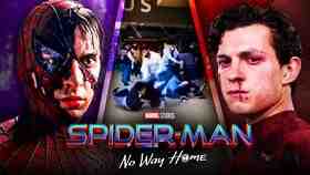 Tobey Maguire, Fight, Spider-Man