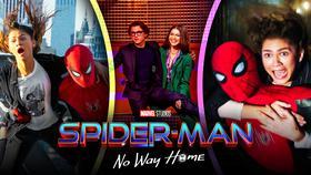 Spider-Man: No Way Home Height Difference Interfered With Peter & MJ Stunts