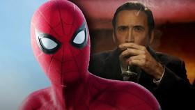 Marvel Splits The Fanbase With First Photos Of Its 2026 Spider-Man Series