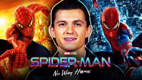 Tom Holland is Sick of Lying About Spider-Man: No Way Home's Secrets