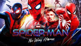 Spider-Man: No Way Home Copies Quote From Marvel's PS4 Game