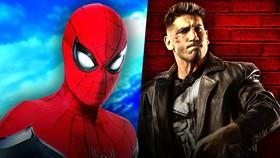 Spider-Man Brand New Day Report Reveals Punisher Is Getting A Sidekick
