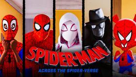 Spider-Verse 2 Producer Clarifies Sequel’s Insane Character Count