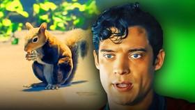 Superman’s Controversial Squirrel Scene Might Actually Set Up This DC Hero (Yes, Really)