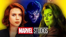 The MCU Phase 4's Most Forgotten Project Is Getting a Sequel