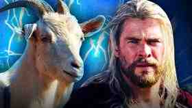 Thor Land goat