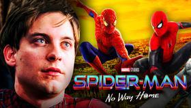 Spider-Man 3: Another Tobey Maguire Voice Actor Teases His Return In No Way Home