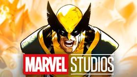 Top Wolverine Fancast Says He Talked to Marvel About Playing Another X-Man